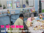Clip Eva - NÓNG: TP. Hồ Chí Minh đang ở đỉnh dịch của sốt xuất huyết và chân tay miệng