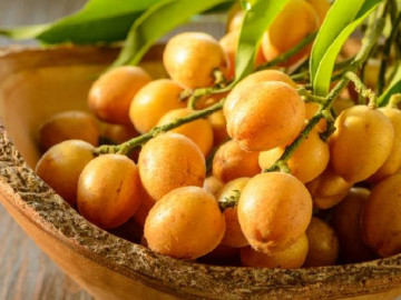 Bà bầu ăn quất hồng bì được không?