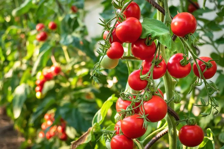 Mẹ mang bầu chăm ăn những món này, con sinh ra da trắng hồng, xinh xắn đáng yêu - 4