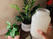 Nhà đẹp - 4 loại "nước tiên" rẻ bèo dùng trồng hoa, không làm cháy cây con, giúp nụ tuôn như thác