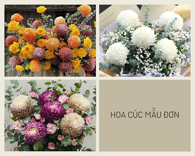 Hoa cúc - Phân loại, ý nghĩa, công dụng và cách trồng giúp hoa nở đẹp - 10
