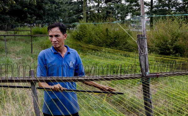 Nghề lạ lùng ở miền Tây: Cứ chạy là có tiền, chạy càng nhiều thu nhập càng cao, mỗi ngày kiếm vài trăm nghìn đồng - 3