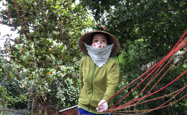 Nghề lạ lùng ở miền Tây: Cứ chạy là có tiền, chạy càng nhiều thu nhập càng cao, mỗi ngày kiếm vài trăm nghìn đồng - 4