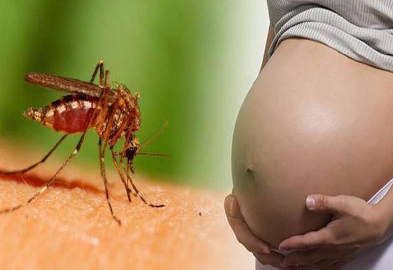 Phụ nữ mang thai có truyền virus Dengue gây bệnh sốt xuất huyết cho con không? - 1