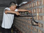 Tin tức - Nghề lạ ở Việt Nam: Thành đại gia có thu nhập "khủng" nhờ nuôi loài cực độc, nay rơi vào thảm cảnh khó tin