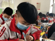 Tin tức - Bài toán tiểu học yêu cầu đếm số gà khiến phụ huynh cũng phải bó tay