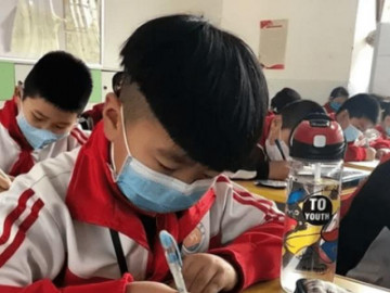 Bài toán tiểu học yêu cầu đếm số gà khiến phụ huynh cũng phải bó tay