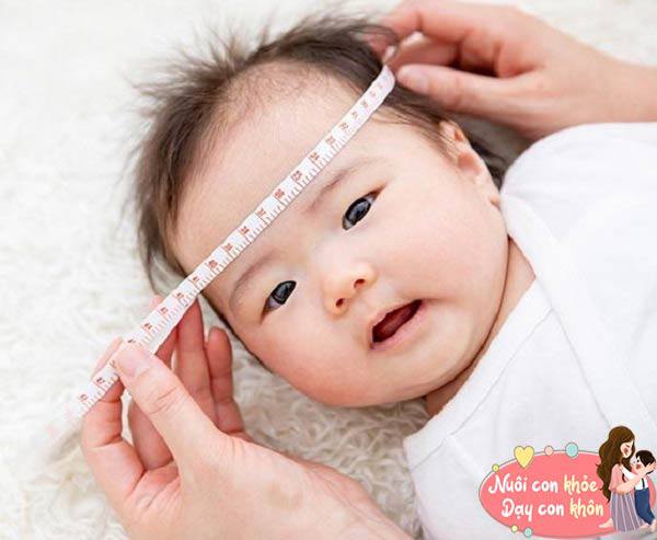 Nghiên cứu: kích thước đầu ảnh hưởng đến chiều cao của bé, làm được 4 điều này con cao lớn nhanh hơn - 3