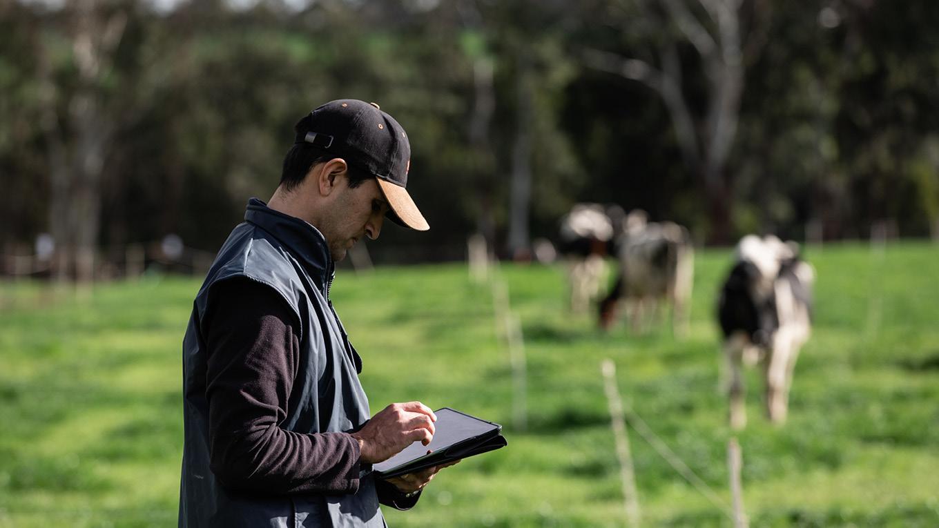 Sữa Úc - Thương hiệu sữa uy tín hàng đầu thế giới - 3