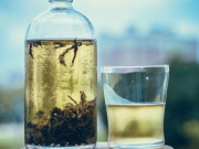 Sức khỏe - Loại nước uống "trường thọ" ai cũng pha nóng nhưng ủ lạnh còn có thêm 5 lợi ích bất ngờ này
