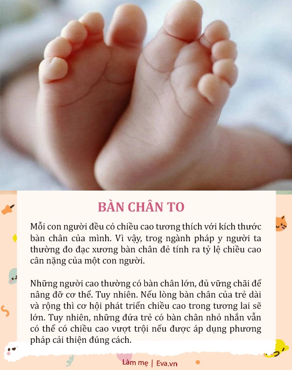 Không cần đợi con lớn, muốn biết tương lai trẻ có cao hay không, chỉ cần nhìn vào 6 đặc điểm này - 3