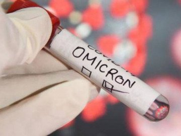                                   NÓNG: Biến thể phụ BA.5 lây lan nhanh đã xâm nhập Việt Nam                              