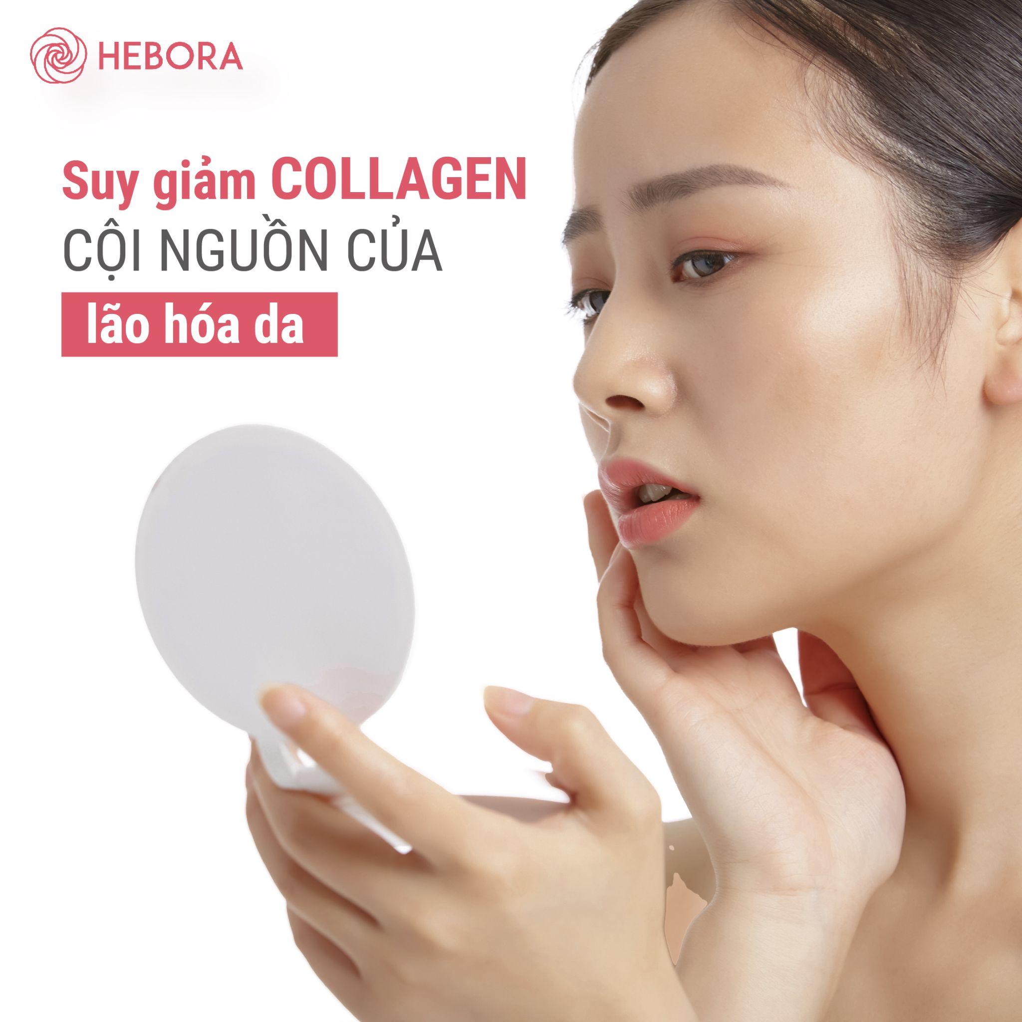Hướng dẫn lựa chọn Collagen phù hợp để làn da luôn khỏe mạnh - 3