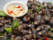 Sức khỏe - Ăn ốc có tác dụng gì? Những ai không nên ăn ốc?