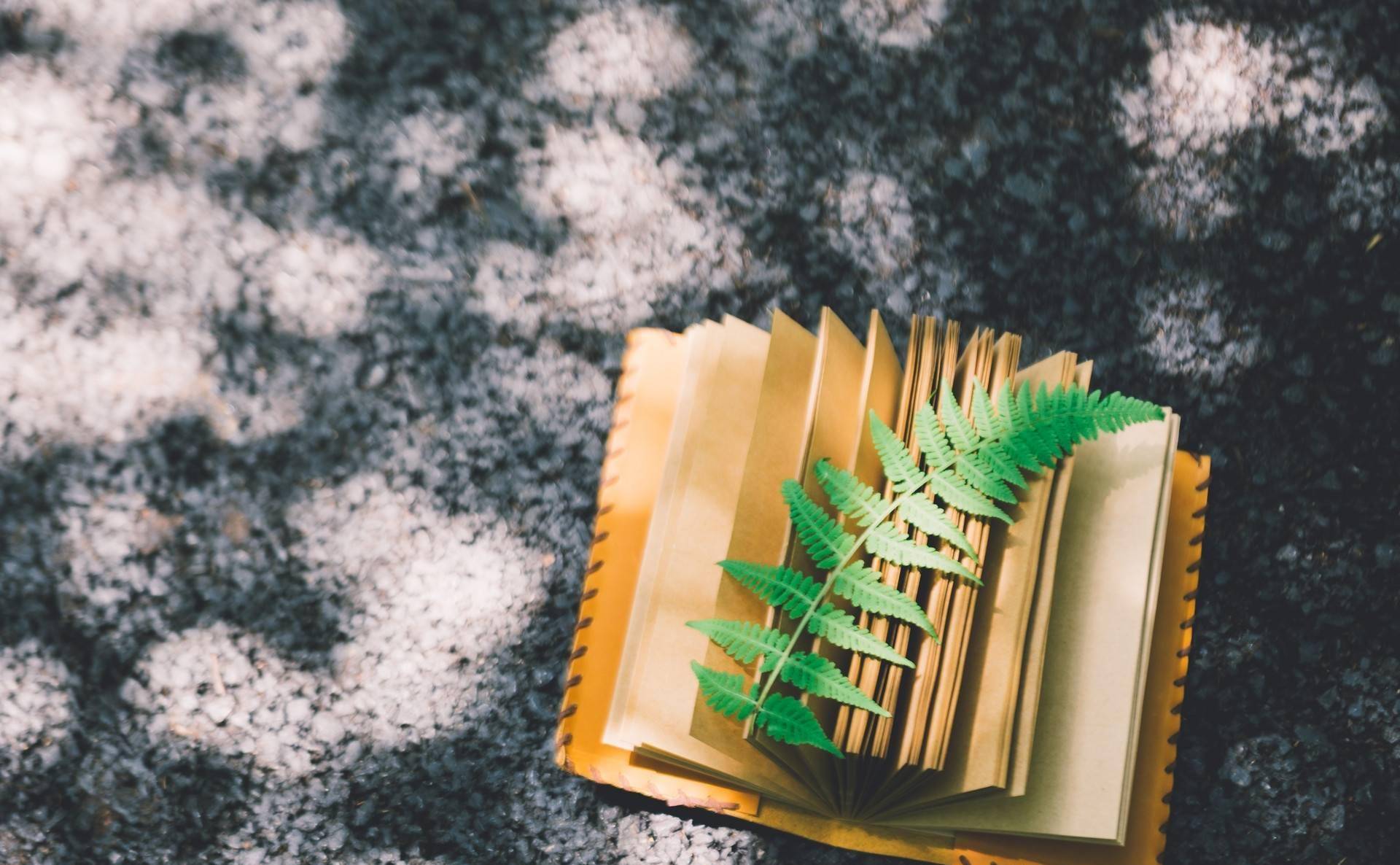 Càng trưởng thành, bạn sẽ càng hiểu chỉ 1 người có thể cùng ta đi đến cuối đời - 1