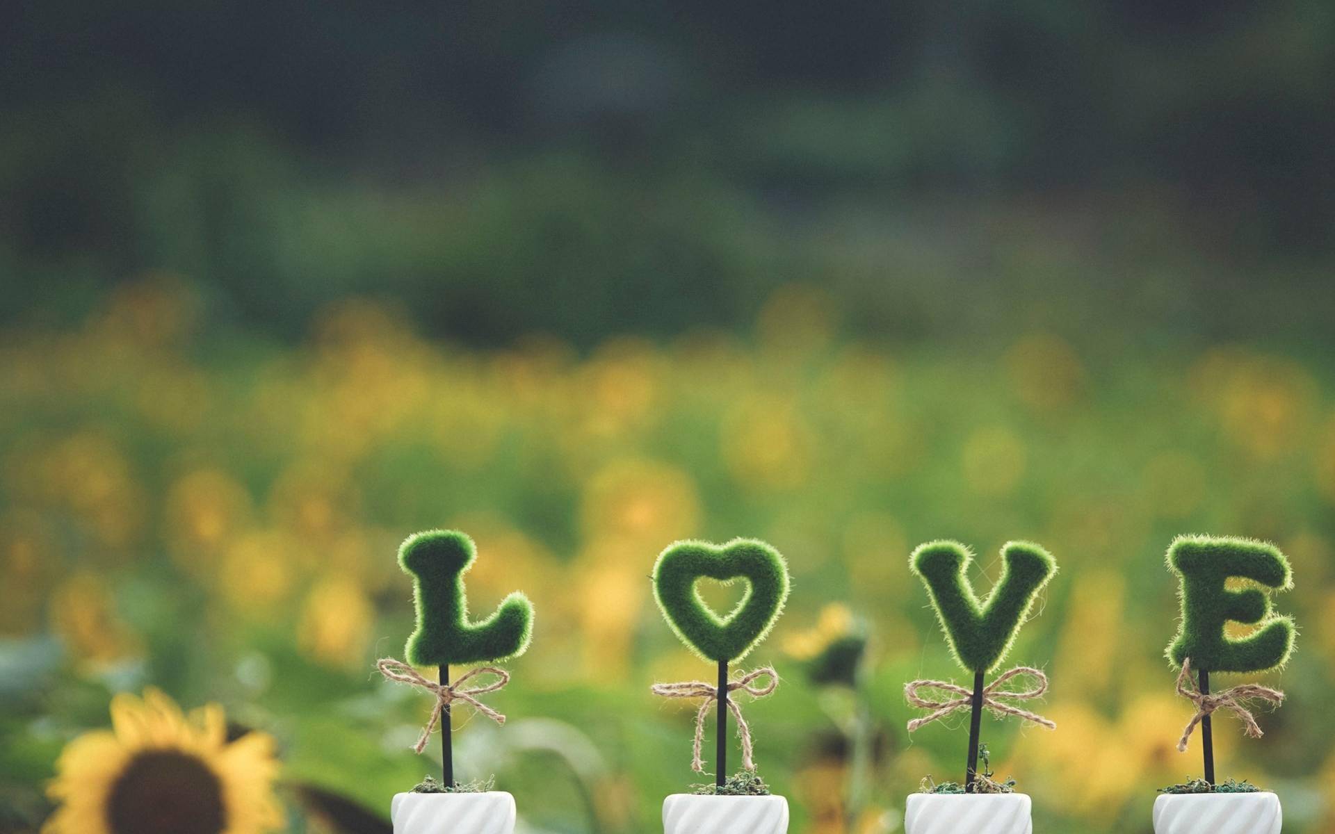 Càng trưởng thành, bạn sẽ càng hiểu chỉ 1 người có thể cùng ta đi đến cuối đời - 2