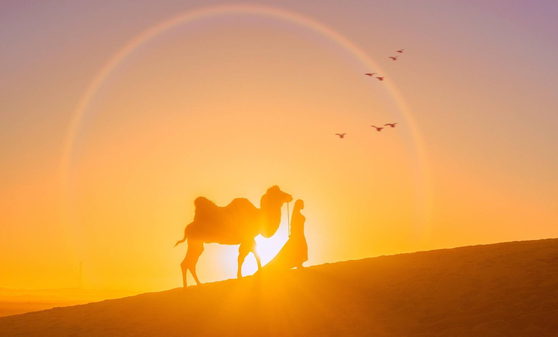 Càng trưởng thành, bạn sẽ càng hiểu chỉ 1 người có thể cùng ta đi đến cuối đời - 5