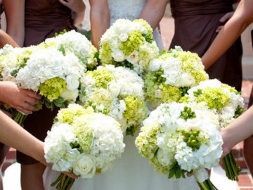 Loài hoa rất đẹp được nhiều đôi dùng trong ngày cưới mà không biết hoa chứa đầy độc tố, có thể gây chết người