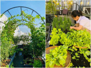 Nhà đẹp - Nữ giám đốc Sài thành chi 120 triệu đồng, vác 5 tấn đất lên sân thượng làm vườn rau sạch có view đẹp như mơ