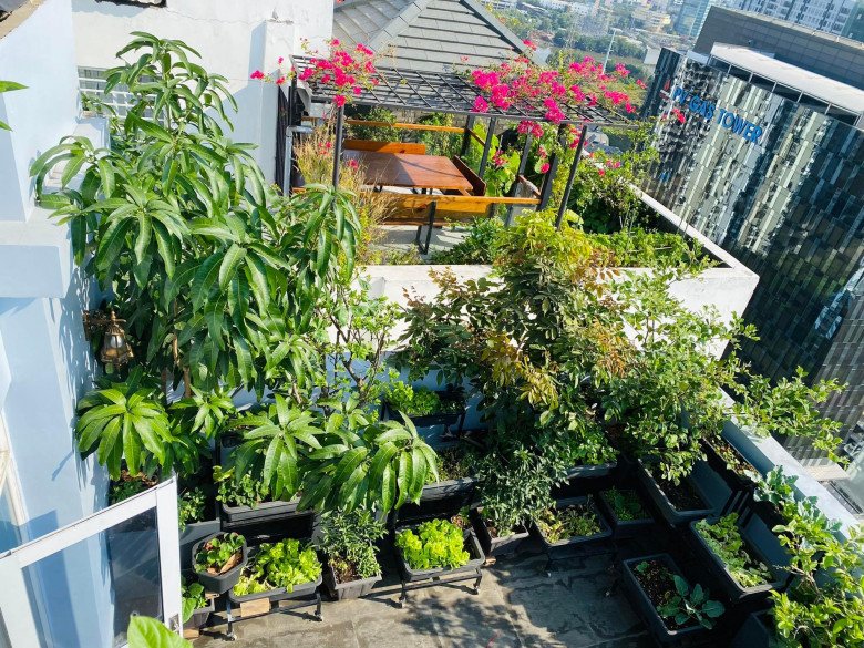 Nữ giám đốc Sài thành chi 120 triệu đồng, vác 5 tấn đất lên sân thượng làm vườn rau sạch có view đẹp như mơ - 7