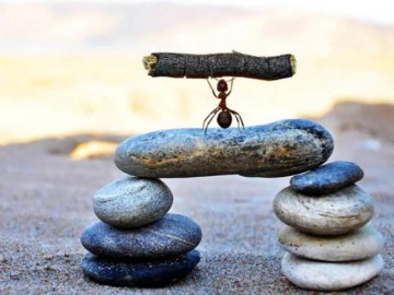 Sự khôn ngoan lớn nhất trong cuộc sống là nhận ra chính mình