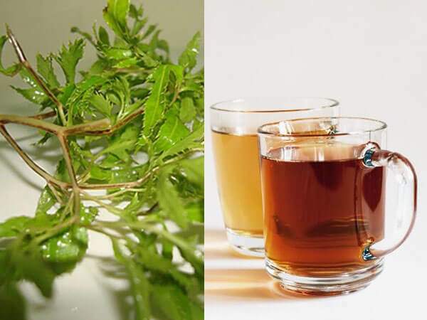 Loại củ là amp;#34;vua bổ dưỡng máu và khí huyếtamp;#34;, được gọi là nhân sâm của người nghèo, ở Việt Nam nhiều nhưng ít ai biết dùng  - 2
