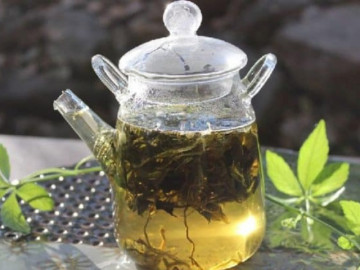 Loại cây được Hàn Quốc, Nhật Bản coi là "nhân sâm", "cây trường thọ", ở Việt Nam mọc dễ như cỏ nhưng ít người biết dùng