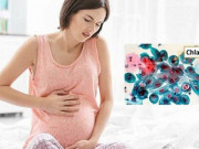 Bà bầu - Biến chứng do nhiễm Chlamydia khi mang thai nguy hiểm thế nào?