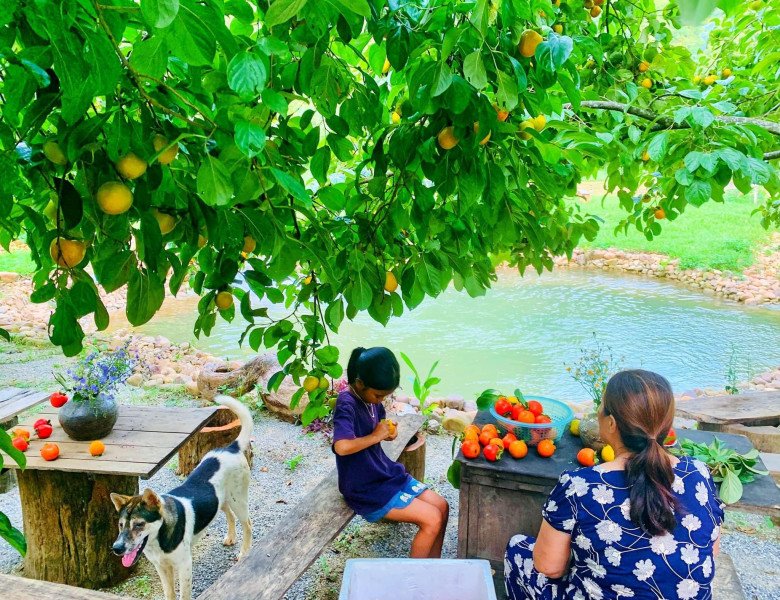 Mẹ đảm Hà Nội xây nhà đẹp như tranh giữa thung lũng Lạng Sơn, thu hoạch 2 tấn hồng mỗi mùa - 9