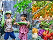 Nhà đẹp - Mẹ đảm Hải Phòng quy tiền mua túi hiệu sang phân bón, chồng ủng hộ mua thêm đất để trồng rau xanh