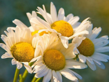 Thân đến mấy cũng đừng liên lạc với người đối xử với bạn theo 3 cách này