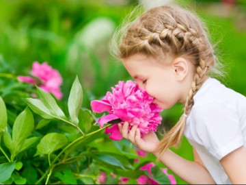 6 loại cây sở hữu hoa thơm lừng mũi, trồng 1 chậu ở ban công, ngôi nhà khi nào thì cũng ngạt ngào hương thơm thơm