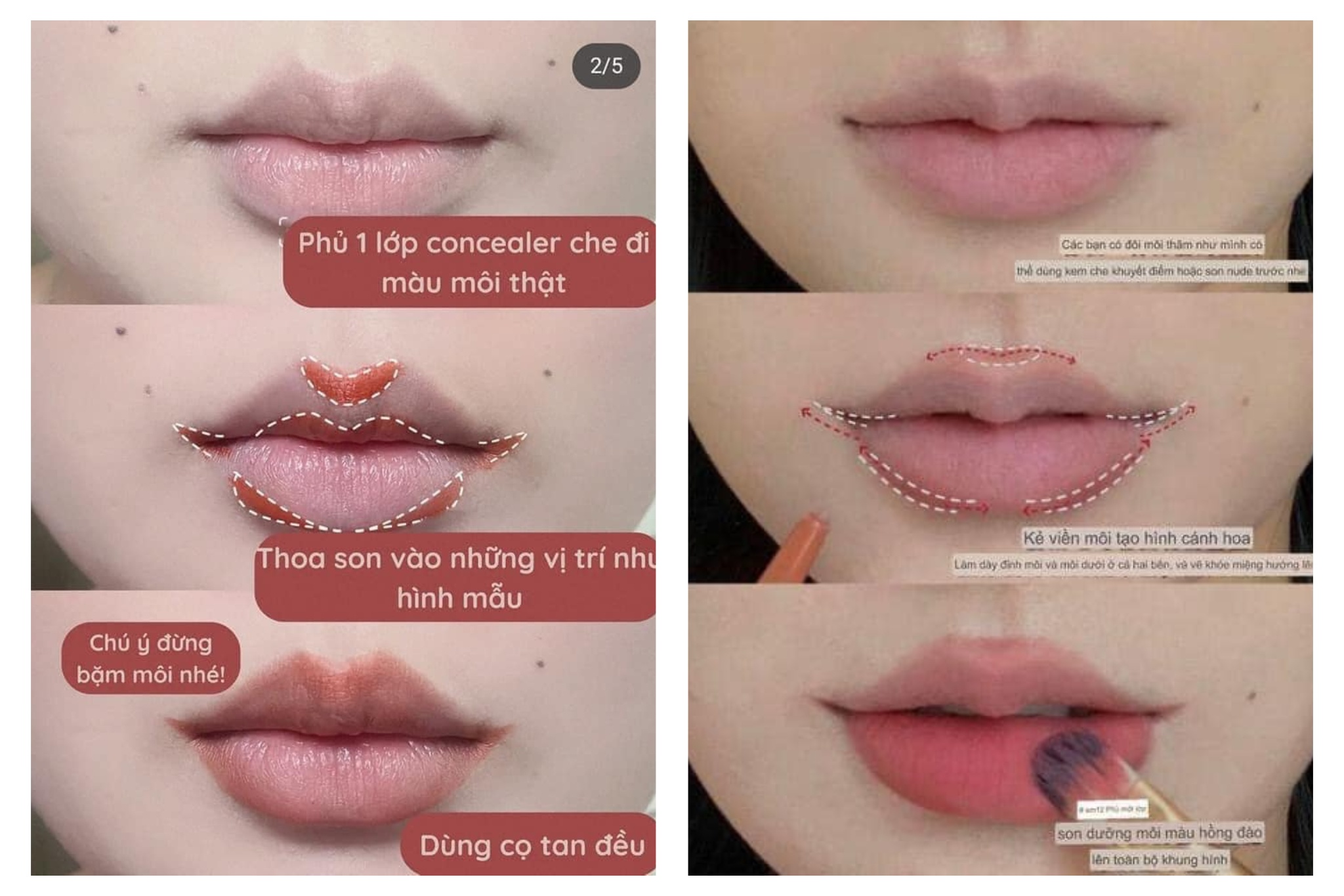 ​​​Để tạo hiệu ứng cho môi căng mọng, chị em thực hiện theo các bước trong ảnh. Đầu tiên, chị em hãy dùng kem che khuyết điểm để che màu môi thật, sau đó, tô 6 điểm trên môi, ở vị trí nhân trung 2 mép môi, 2 bên đáy môi dưới và lòng môi trên. Sau đó, dùng cọ tán đều phần son trên.