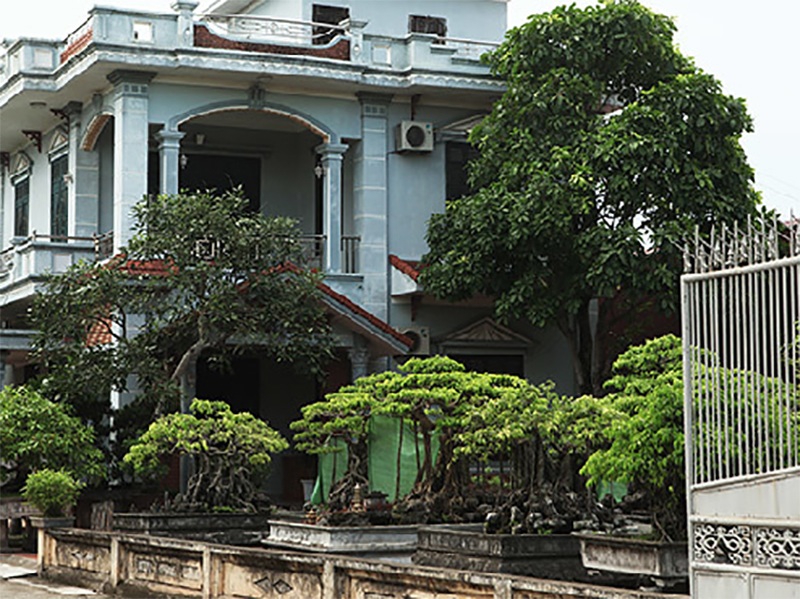 Nhờ nghề dệt mà người dân làng Mẹo trở nên giàu có, lại nhạy bén trong kinh doanh, họ đổ tiền kinh doanh tiếp như bia rượu, xây dựng, thủy điện, vận tải… nên họ lại càng giàu thêm.
