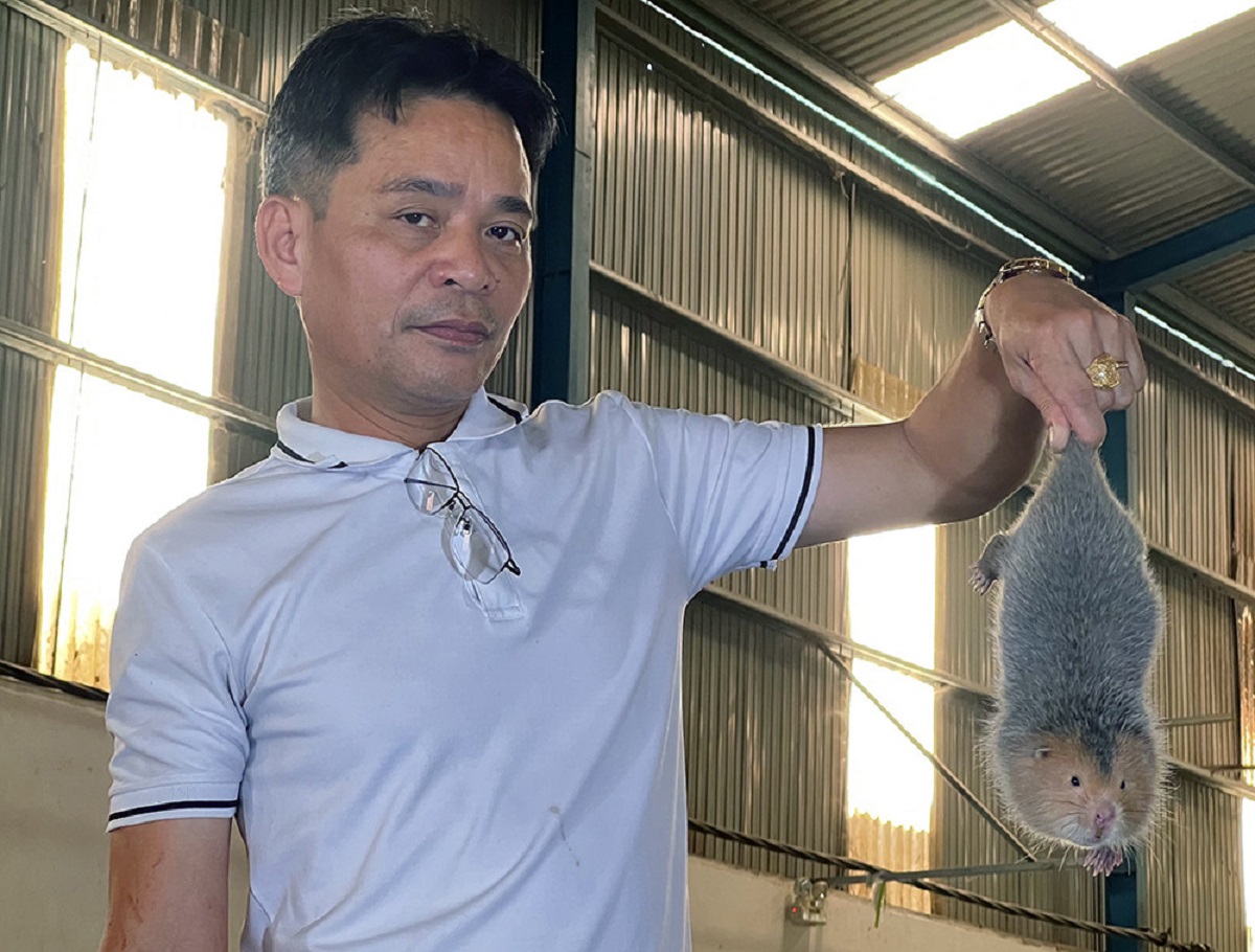 Nuôi loài vật lạ trông như nhím, nhưng mang lại thu nhập khủng lên tới hơn 5 tỷ đồng/năm - 2