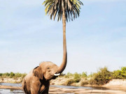 Eva tám - Trắc nghiệm tâm lý: Bạn đã thấy gì từ cái nhìn đầu tiên?