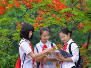 Tin tức - Cập nhật lịch nghỉ hè mới nhất của học sinh ở 63 tỉnh thành trên cả nước năm 2023