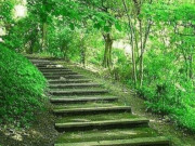 Eva tám - Trắc nghiệm tâm lý: Bạn sẽ chọn đi con đường nào?