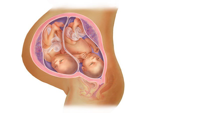 Thai đôi tuần 36: Khoảng một nửa số ca sinh đôi và hầu hết các ca sinh ba, sẽ ra đời vào cuối tuần thai thứ 36. Thông thường, các bé sinh đôi sẽ nhẹ hơn so với các bé bình thường. 
