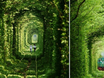 Tunnel of Love (Ukraine): Đường hầm tình yêu thơ mộng nhất châu Âu, đẹp như cổ tích