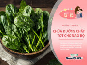 Nuôi con IQ EQ - 6 loại rau bổ não trẻ thông minh hay ăn