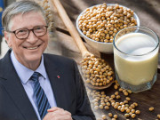 Sức khỏe - Người giàu ăn gì mỗi sáng để có bộ não sắc bén, tư duy logic, có những món rẻ bất ngờ người thường cũng dùng được