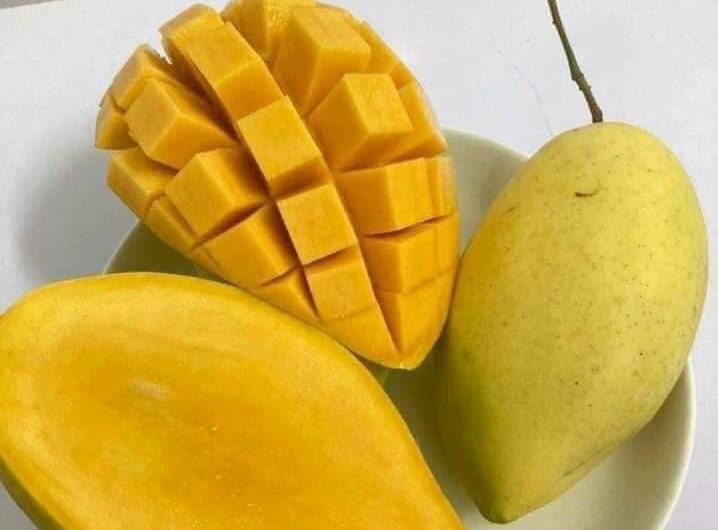 Xoài chứa nhiều chất dinh dưỡng tốt cho sức khỏe. Ảnh: Diệu Thuần.