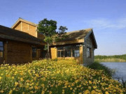 Eva tám - Trắc nghiệm tâm lý: Ngôi nhà yêu thích tiết lộ gì về người quan tâm bạn nhất?