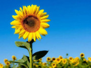 Eva tám - May mắn lớn nhất trong đời là học được cách tự cứu mình