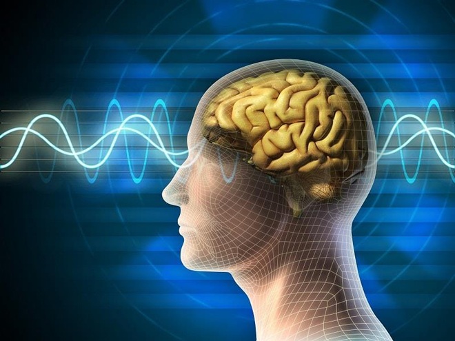 Người nhóm máu nào có biểu hiện lão hóa nhanh hơn? Người có não trẻ nhất là người sở hữu thứ này - 3