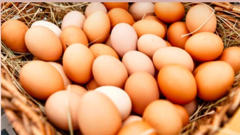 Trứng chứa protein lòng đỏ rất cần thiết cho sự tăng trưởng và phát triển của trẻ. Dinh dưỡng của trứng chỉ đứng sau sữa mẹ, vì vậy trẻ sẽ hấp thu rất nhanh. Tuy nhiên, lòng đỏ trứng không nên ăn nhiều, vì vậy mẹ chỉ nên cho con ăn trứng cách 1-2 ngày một lần
