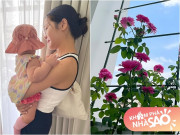 Nhà đẹp - Có nhà đẹp như mơ, "tình địch" của Hương Giang còn được chồng điển trai yêu chiều trồng vườn hoa xinh cho ngắm