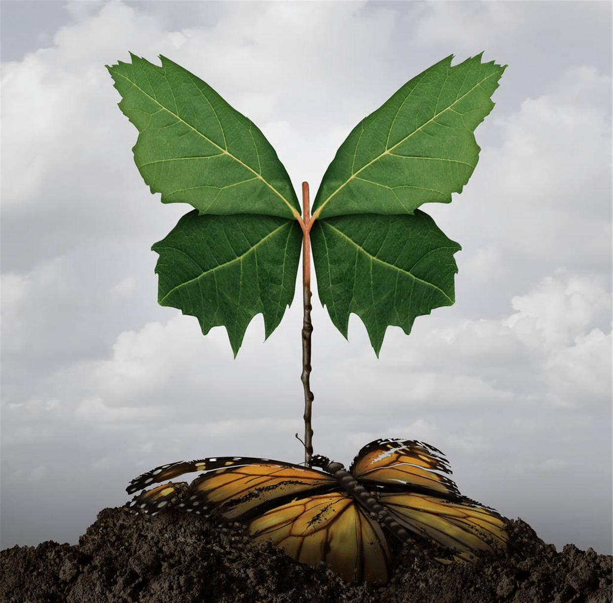 Trắc nghiệm tâm lý: Bạn đã thấy hình ảnh gì từ cái nhìn đầu tiên? - 1