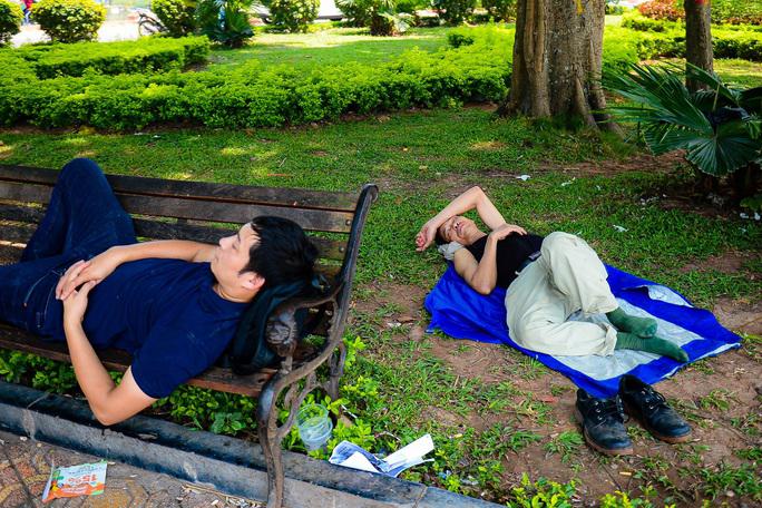 Những tán cây to...